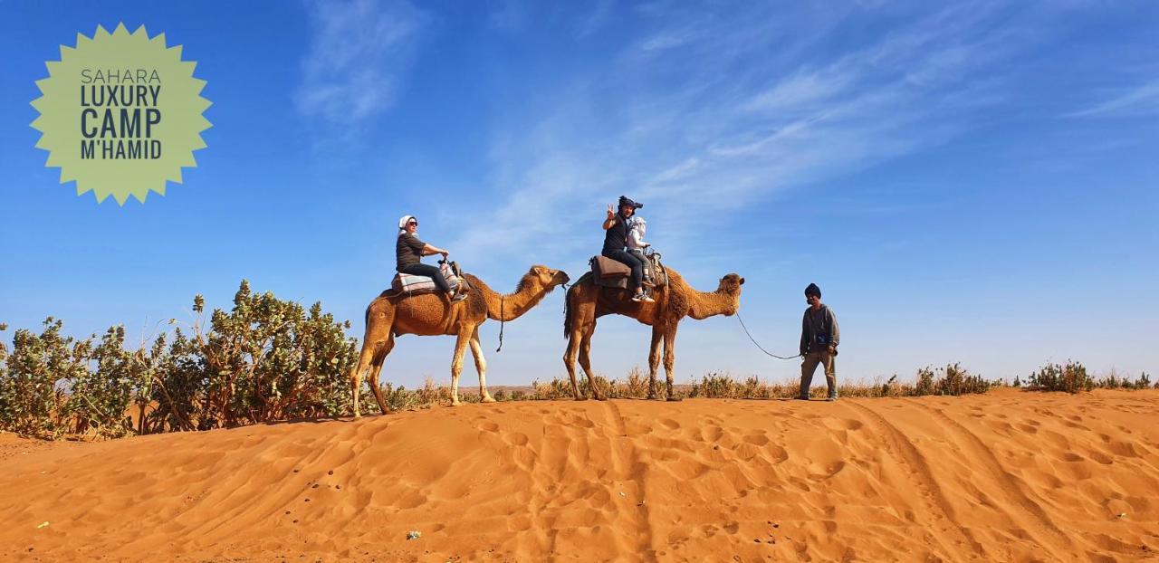 Отель Sahara Luxury Camp Vip Мерзуга Экстерьер фото
